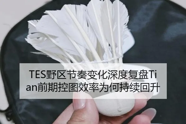 TES野区节奏变化深度复盘Tian前期控图效率为何持续回升